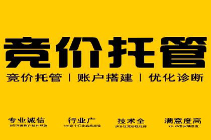 SEM服务案例：提升品牌曝光